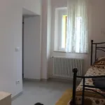 Il Silenzio Delle Colline Umbre - Vicino *