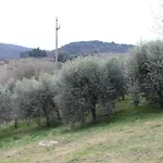 Σπίτι διακοπών Il Silenzio Delle Colline Umbre - Vicino