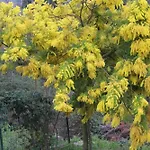 Il Silenzio Delle Colline Umbre - Vicino *