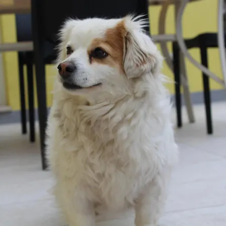 Hébergement de vacances Il Silenzio Delle Colline Umbre - Vicino Todi