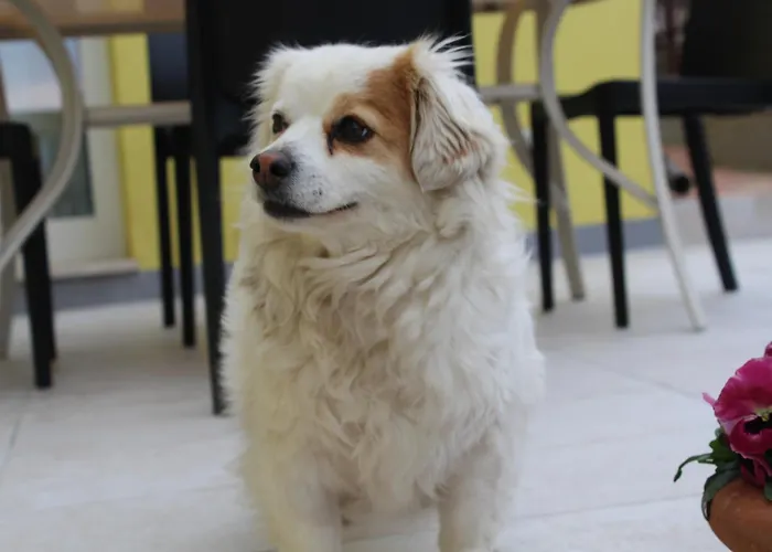 Hébergement de vacances Il Silenzio Delle Colline Umbre - Vicino Todi