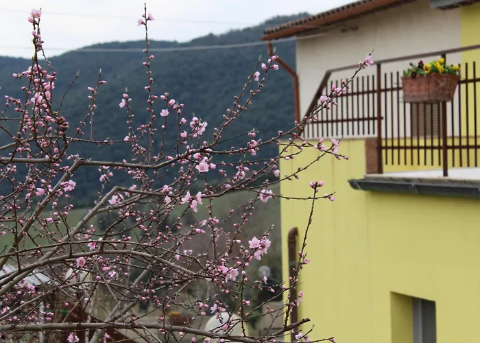 Il Silenzio Delle Colline Umbre - Vicino Hébergement de vacances Todi