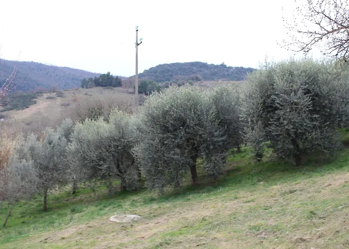 Ferienhaus Il Silenzio Delle Colline Umbre - Vicino